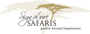 African Safaris