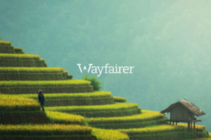 Wayfairer Travel