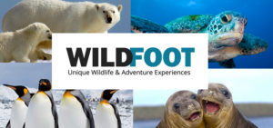 Wildfoot Travel