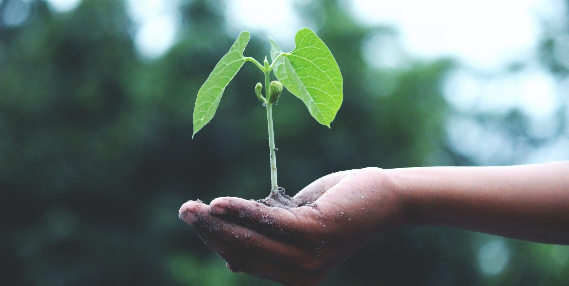 green providers directory green providers directory