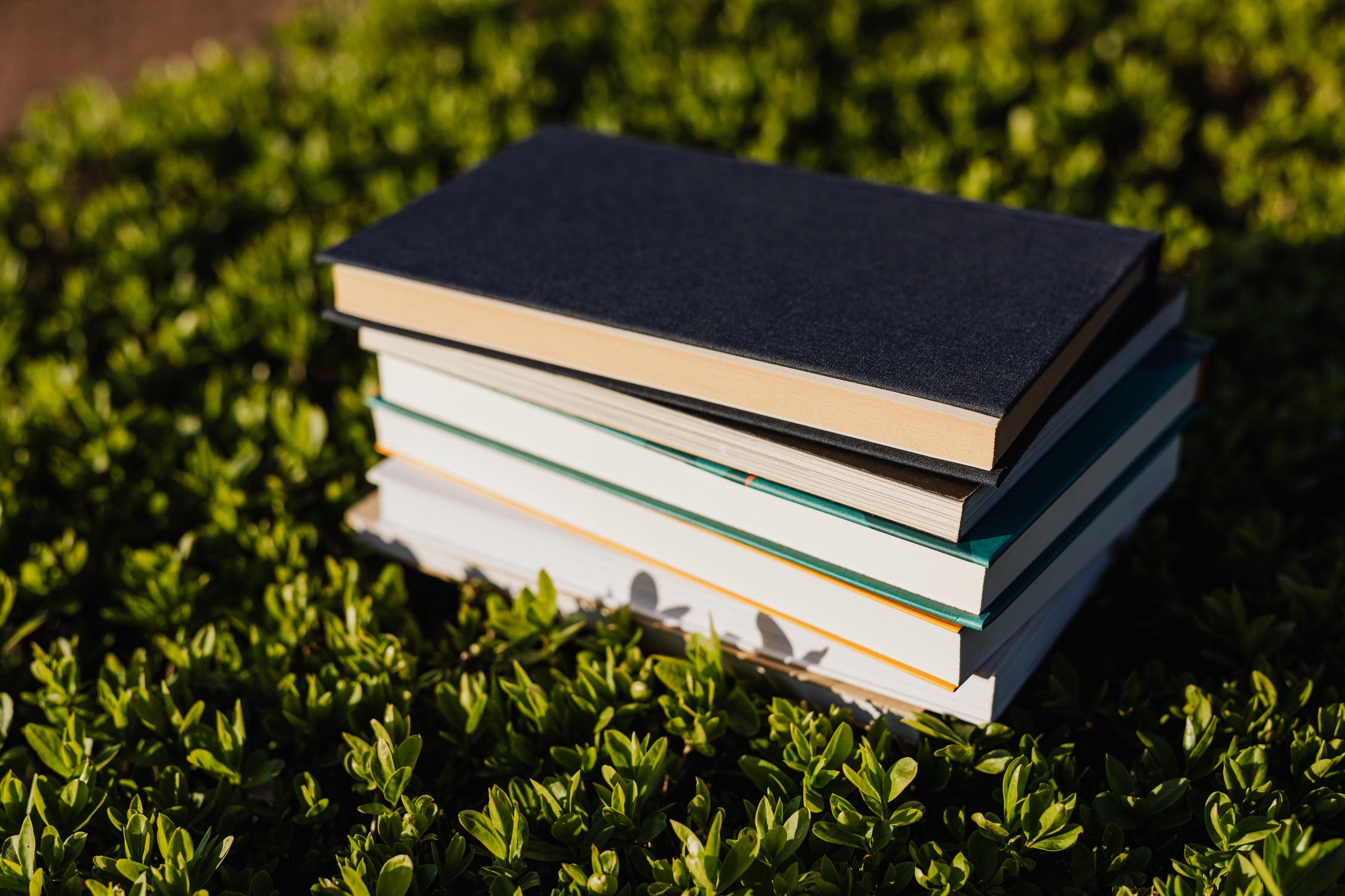 eco books eco books