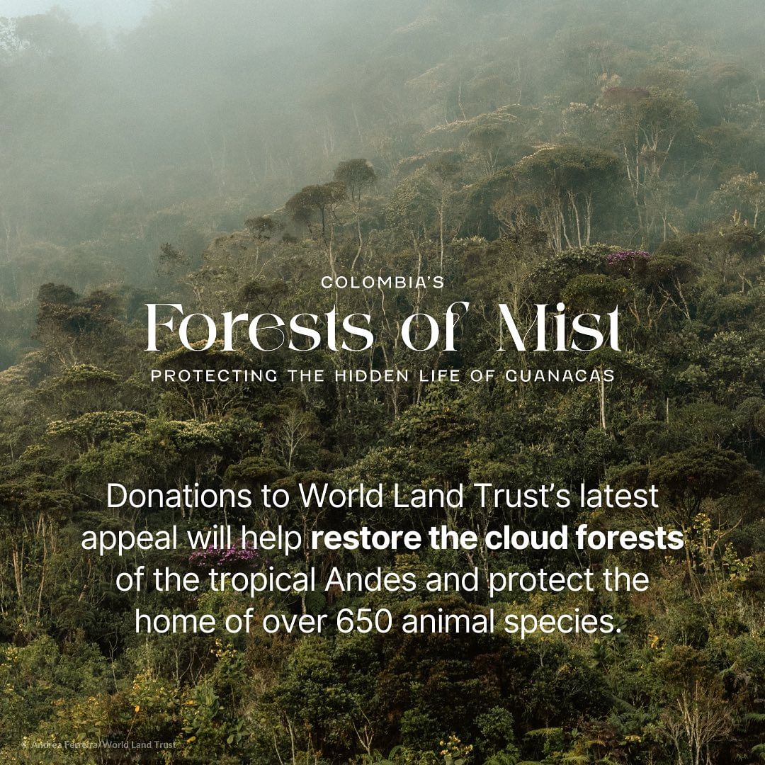 World Land Trust