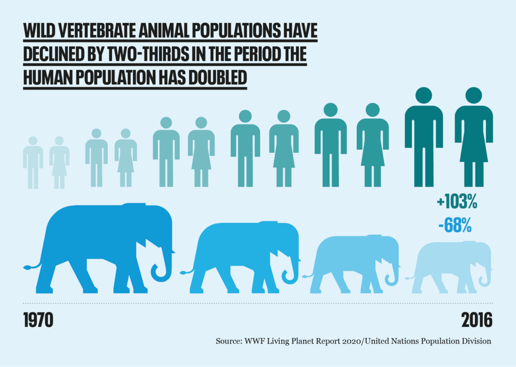 Population Growth