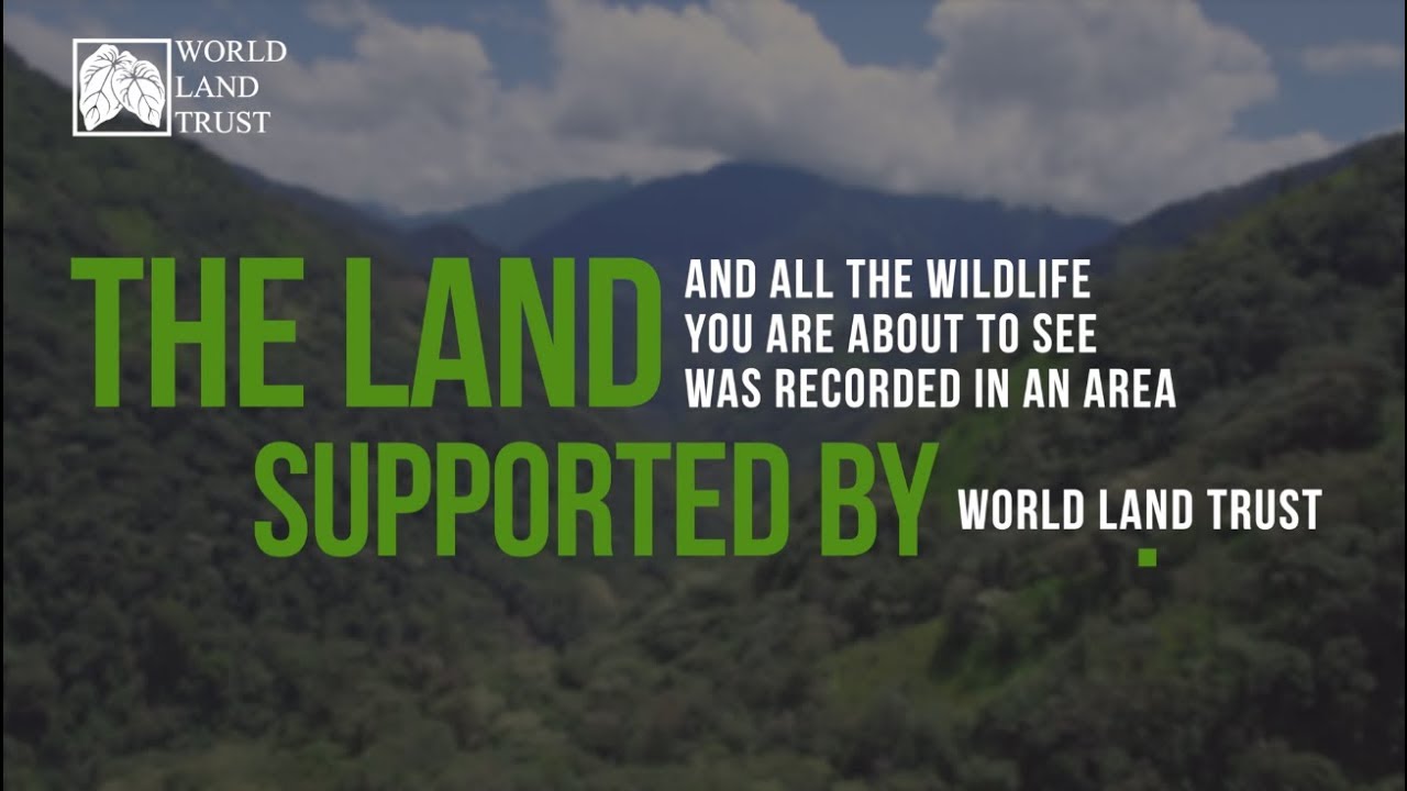 World Land Trust