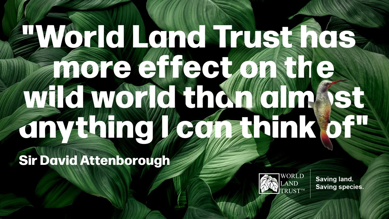 World Land Trust