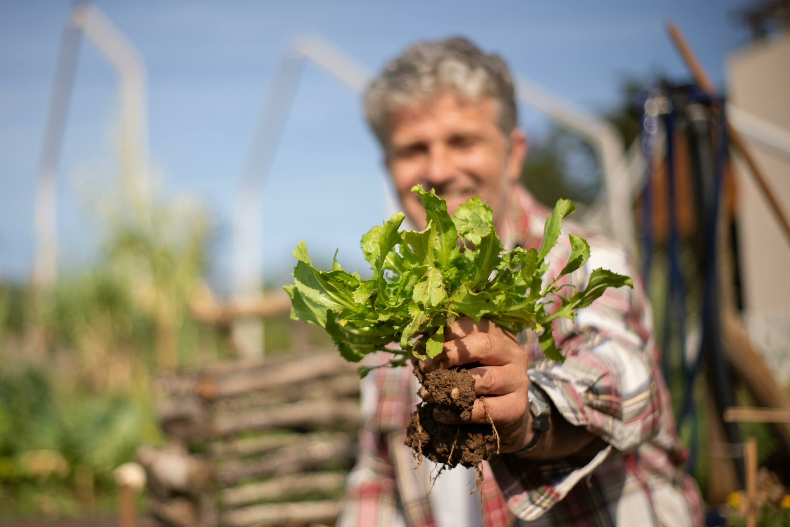 organic gardening