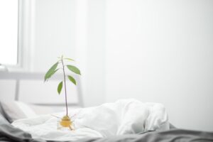 Eco friendly beds